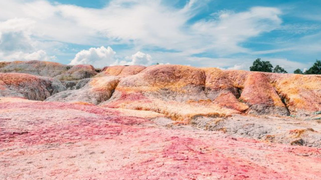 Wisata Alam di Pekanbaru: Menyusuri Keindahan Alam Riau